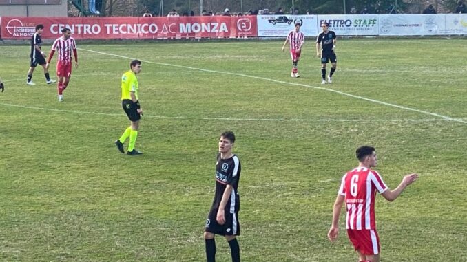 ELLERABASTIA