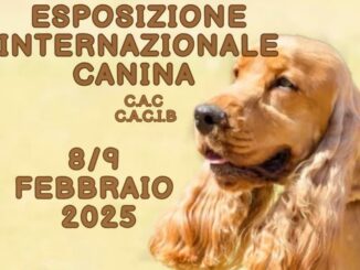 Mostra canina ad Umbriafiere a Bastia Umbra