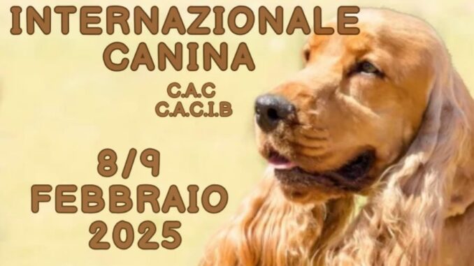 Mostra canina ad Umbriafiere a Bastia Umbra