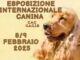 Mostra canina ad Umbriafiere a Bastia Umbra