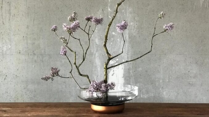 Il fascino dell’Ikebana all’Open Day di UniLibera