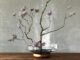 Il fascino dell’Ikebana all’Open Day di UniLibera