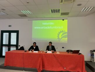 "We Care Workers", sicurezza sul lavoro in agricoltura