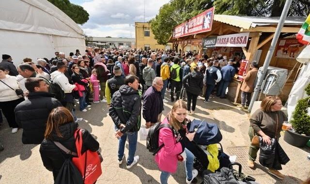 Bastia Umbra, controlli ad Agriumbria: tre donne denunciate