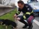 Un atto di cura e attenzione da parte della Polizia