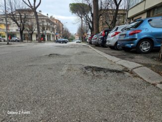 Pini abbattuti, il Comune emette nuova ordinanza