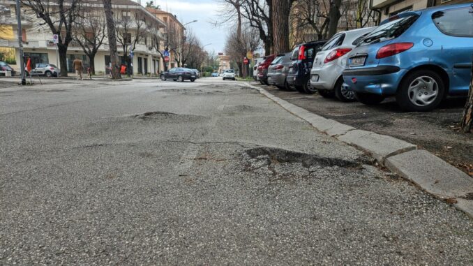 Pini abbattuti, il Comune emette nuova ordinanza