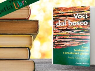 Presentazione del libro all'Auditorium Sant'Angelo il 14 marzo