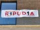 Bastia Umbra aderisce a R1PUD1A, Comune contro la guerra
