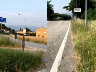Erba alta e scarsa manutenzione, rischio sulle strade