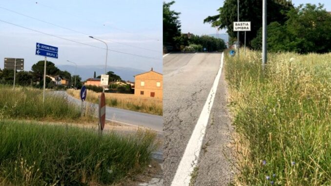 Erba alta e scarsa manutenzione, rischio sulle strade
