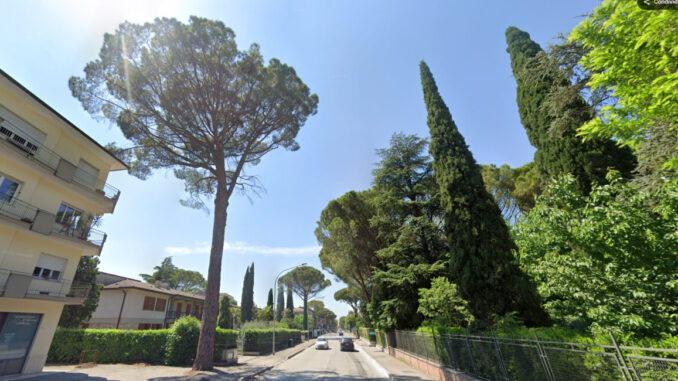 Pini Bastia, no, non ci siamo incatenati, ma siamo "scatenati" e non ci fermeremo!!!