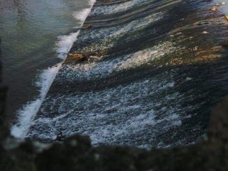 Bastia Umbra svela il bosco urbano lungo il fiume Chiascio