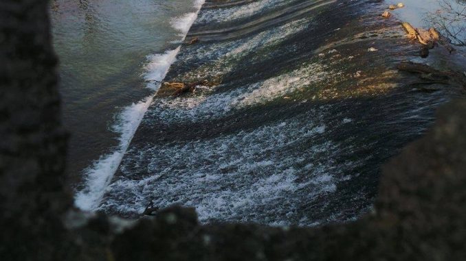 Bastia Umbra svela il bosco urbano lungo il fiume Chiascio