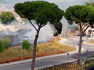 Incendio nei campi vicino al centro storico di Bastia Umbra