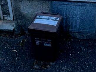 Via Todi al buio a Bastia, raccolta rifiuti saltata e nessuna risposta