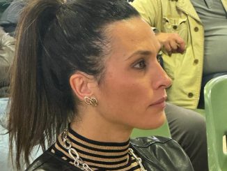 Le Consulte svuotate, Grasso, politica impone sua visione
