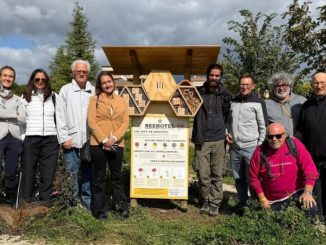 Bee Hotel a Bastia Umbra: nuovo rifugio per api solitarie urbane