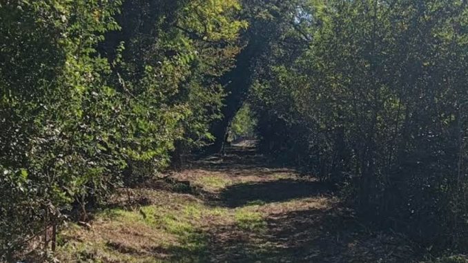 Passeggiata comunitaria inaugura tratto verde riqualificato