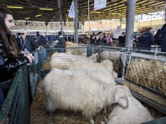 Agriumbria domina il mercato a Bastia Umbra tra le tecnologie