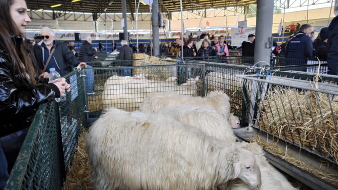 Agriumbria domina il mercato a Bastia Umbra tra le tecnologie