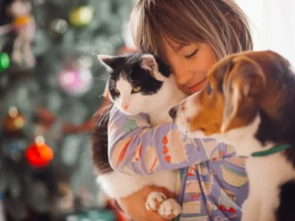 Benessere animale: passa regolamento, scontro duro in aula!