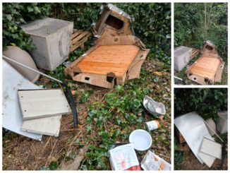 Vandali devastano colonia felina Bastia Umbria indagini aperte