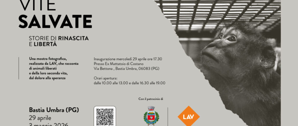 Vite salvate arriva a Bastia Umbra