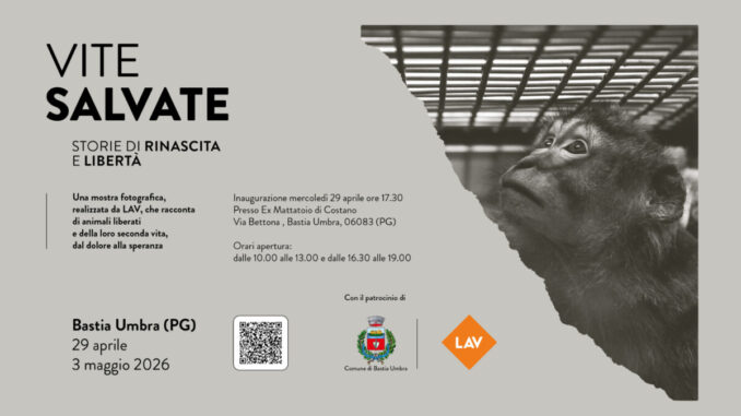 Vite salvate arriva a Bastia Umbra