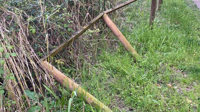 Sicurezza, allarme degrado vandali nel percorso verde Bastia