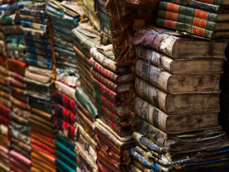Biblioteche fioriscono a Bastia Umbra con migliaia di utenti